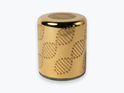 Zlatý Somavedic Elaura na bielom pozadí.